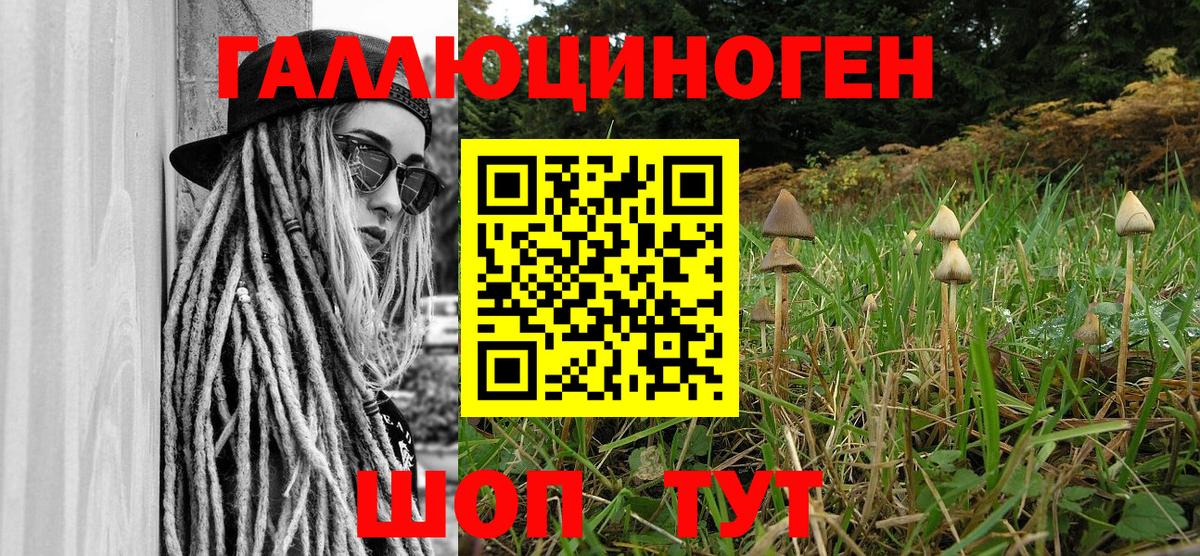 Галлюциногенные грибы Psilocybine cubensis Ленинск-Кузнецкий