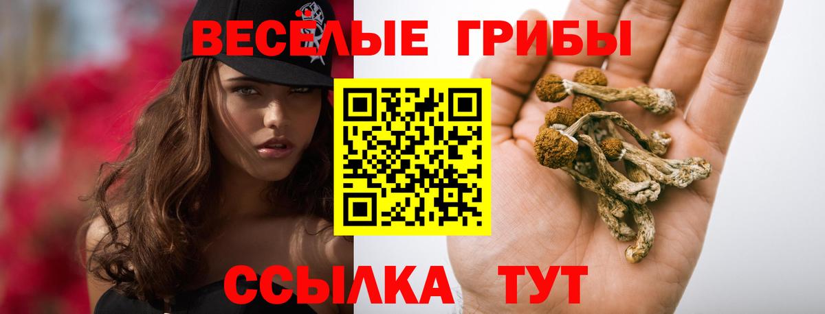 Ленинск-Кузнецкий  Псилоцибиновые грибы прущие грибы  купить наркоту  Вход с VPN 